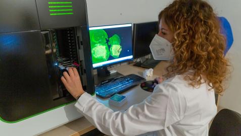 Investigadora CIMA UN