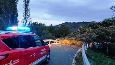 Árbol caído sobre la vía en la carretera de acceso a Gallipienzo viejo