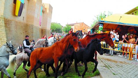 El ganado caballar sale de los fosos en las ferias de 2019.