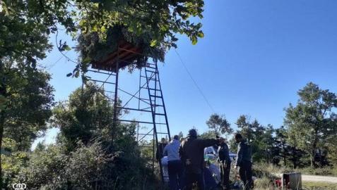 Palomera desde la que cayó el accidentado