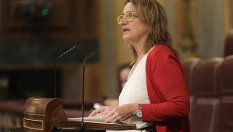 La ministra Ribera, este jueves en el Congreso