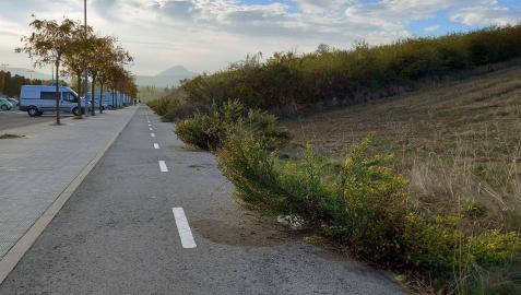 pedaleo