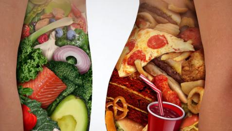 Nutrición Nutrición