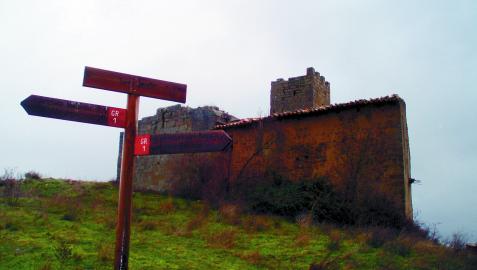 El accidente se produjo justo en el límite de Zaragoza con Navarra, en la zona de Torre Añué (en la imagen), dentro del coto de Sos del Rey Católico, en la comarca de Cinco Villas