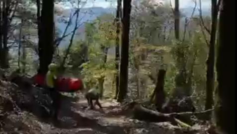 Un momento del rescate de la montañera herida en Artikutza
