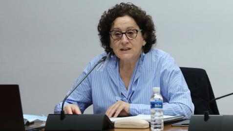 La consejera de Derechos Sociales, Carmen Maeztu, en una comparecencia anterior