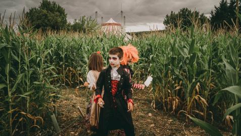 Laberinto Halloween Sendaviva