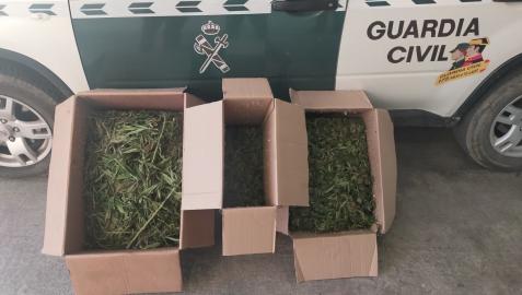 Parte de la droga incautada