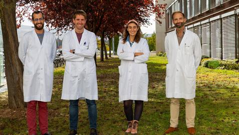 Juan José Garcés, Ibai Goicoechea, Catarina Da Silva y Bruno Paiva