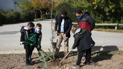 Varios niños, durante la jornada de plantación de árboles