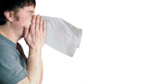 gripe