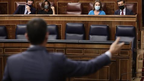 Pedro Sánchez, este miércoles en la sesión de control en el Congreso de los Diputados