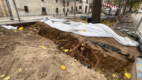 Catas en el arbolado del Paseo Sarasate Visita de la Comisión de Urbanismo en el Paseo Sarasate