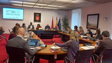 adacen parlamento Un momento de la Comisión de Salud parlamentaria en la que ha participado Adacen