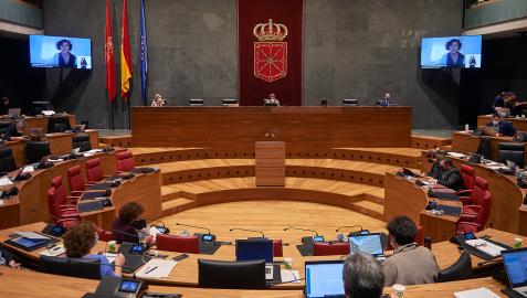 pleno Parlamento de Navarra pleno Parlamento de Navarra