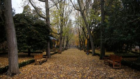 Aspecto de la Taconera tras la caída de las hojas de los árboles en otoño Aspecto de la Taconera tras la caída de las hojas de los árboles en otoño