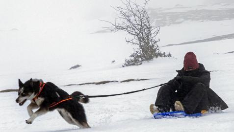 NieveLizarraga Varias personas se acercaron este lunes, 6 de diciembre, al alto de Lizarraga a disfrutar de la nieve