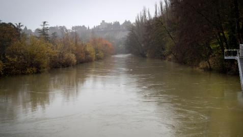 Imagen del río Arga en la zona del club Natación Imagen del río Arga en la zona del club Natación
