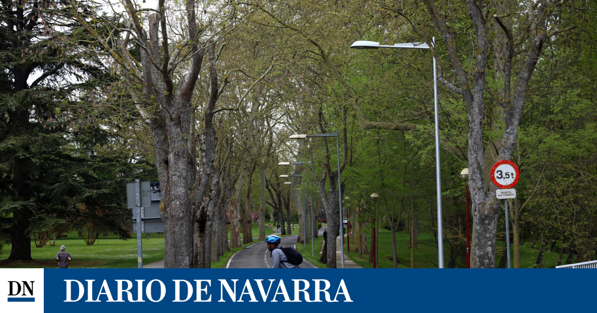 Herido en la cabeza un menor que circulaba en patinete al chocar con un árbol en el campus de la Universidad de Navarra