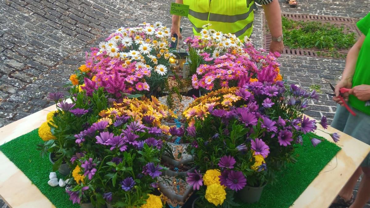 <![CDATA[Concurso de microjardines con premios en ‘Aoiz en flor’]]>