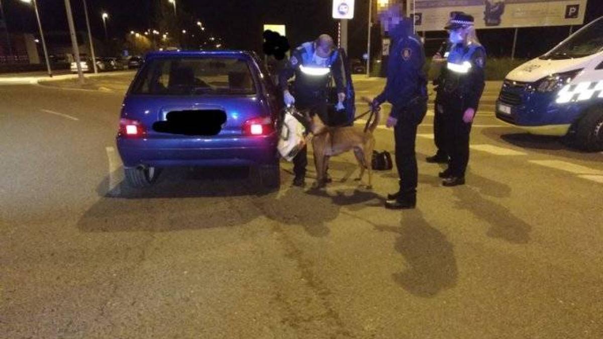 Denunciado un conductor en Pamplona por dar positivo en drogas y llevar ...