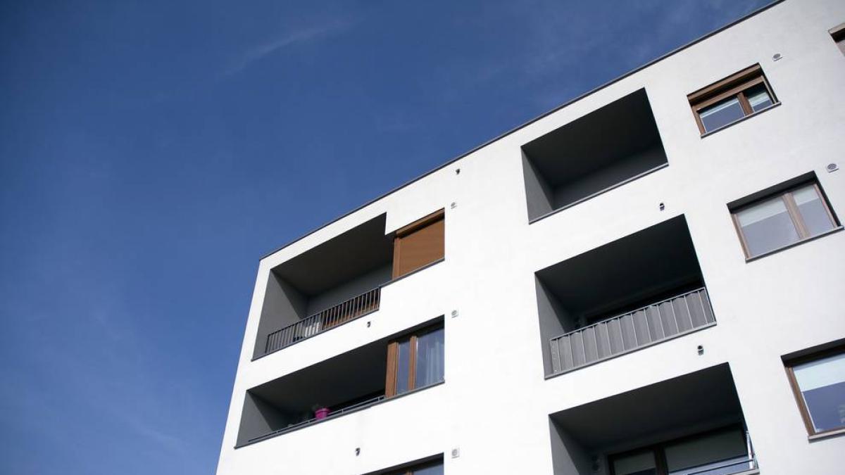 <![CDATA[Consumo avisa a 13 fondos e inmobiliarias de que han de aceptar prorrogar alquileres en sus 100.000 viviendas]]>