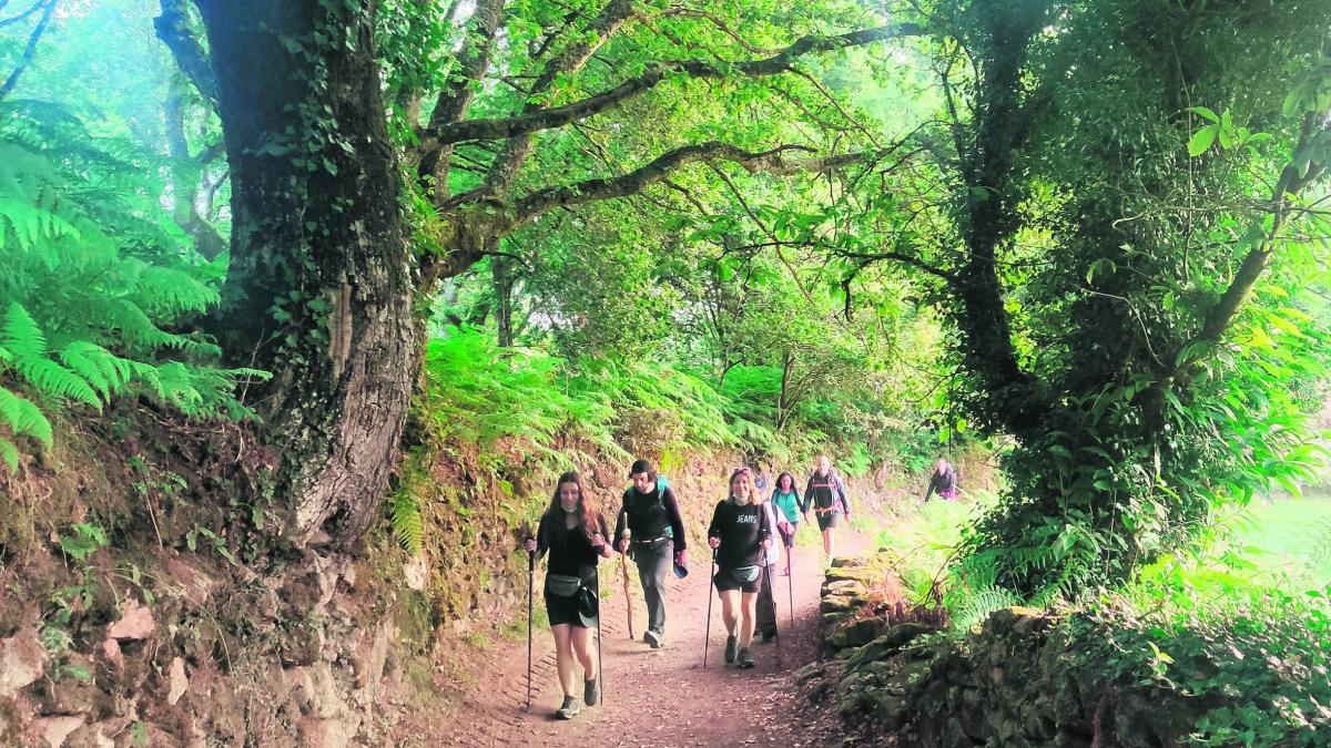 Navarra contará con bastones reutilizados para peregrinos rumbo a Santiago de Compostela