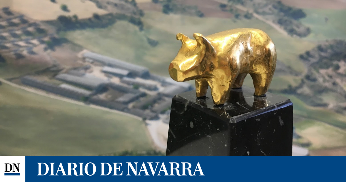 Navarra obtiene cinco premios en la gala Porc d&#39;Or
