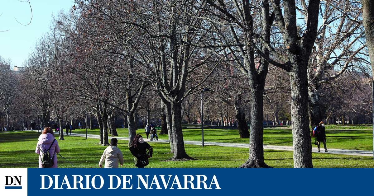 Navarra presenta un plan con 10 medidas para minimizar la contaminación por ozono