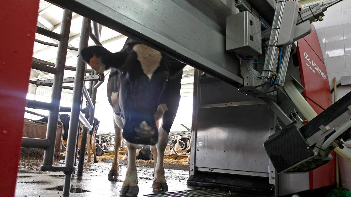 <![CDATA[Conceden ayudas por 12 millones de euros a 271 personas para inversiones en sus explotaciones agrarias]]>