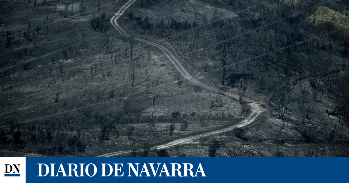 Los superincendios dan un pequeño respiro, aunque los fuegos no cejan en Galicia y Ávila