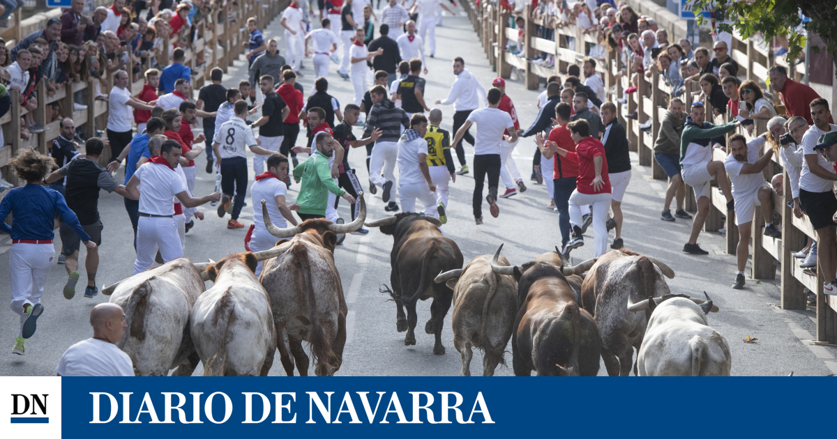 Corridas emocionantes sem lesões no mastro