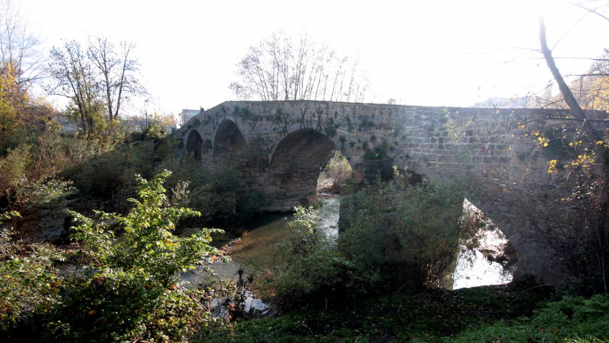 <![CDATA[Multa de 1.501 € por arrojar el cadáver de un perro al río Arga]]>