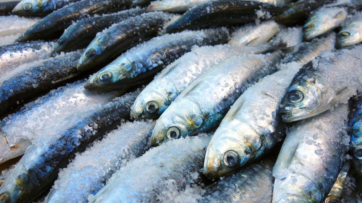 <![CDATA[¿Pescado en pescadería o en bandeja? La OCU compara precios]]>