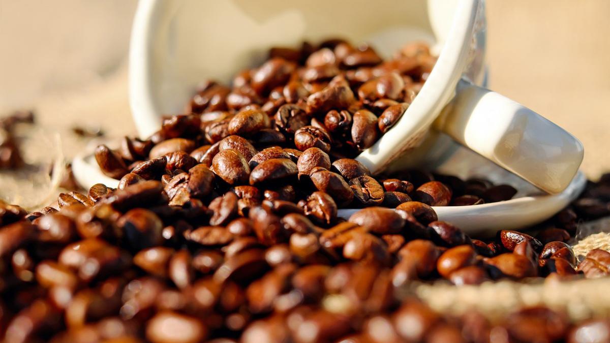 Nuevos hallazgos sobre la cafeína: el café es seguro en cantidades moderadas, pero las bebidas energéticas representan un riesgo cardíaco