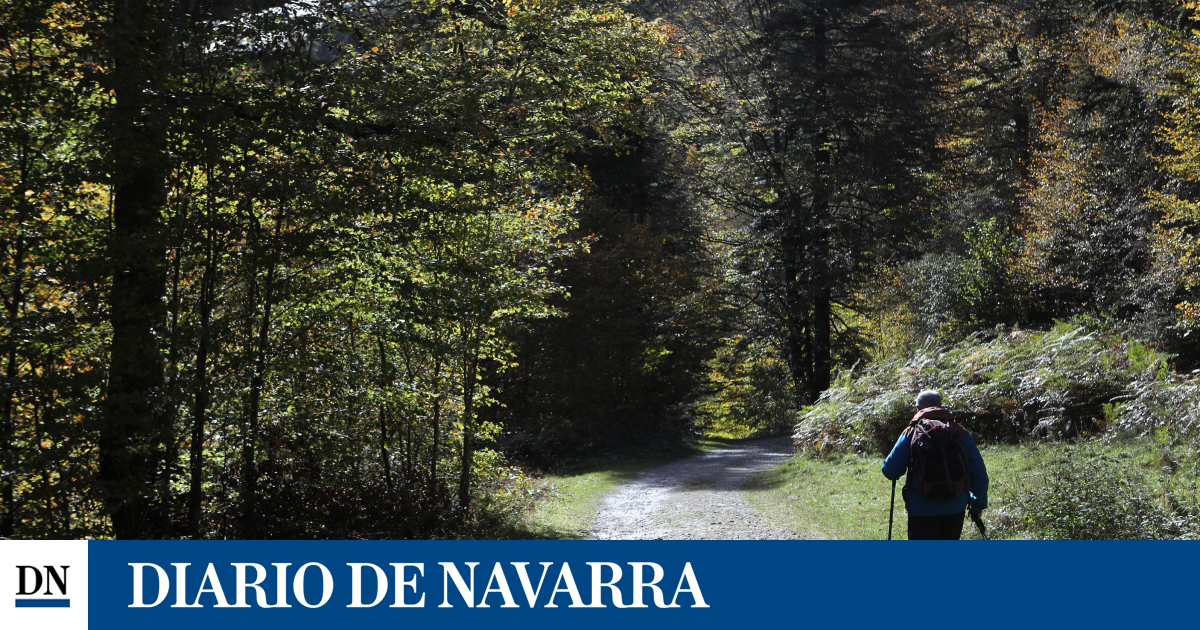 Navarra fecha 2023 com quase 14.000 membros nas montanhas