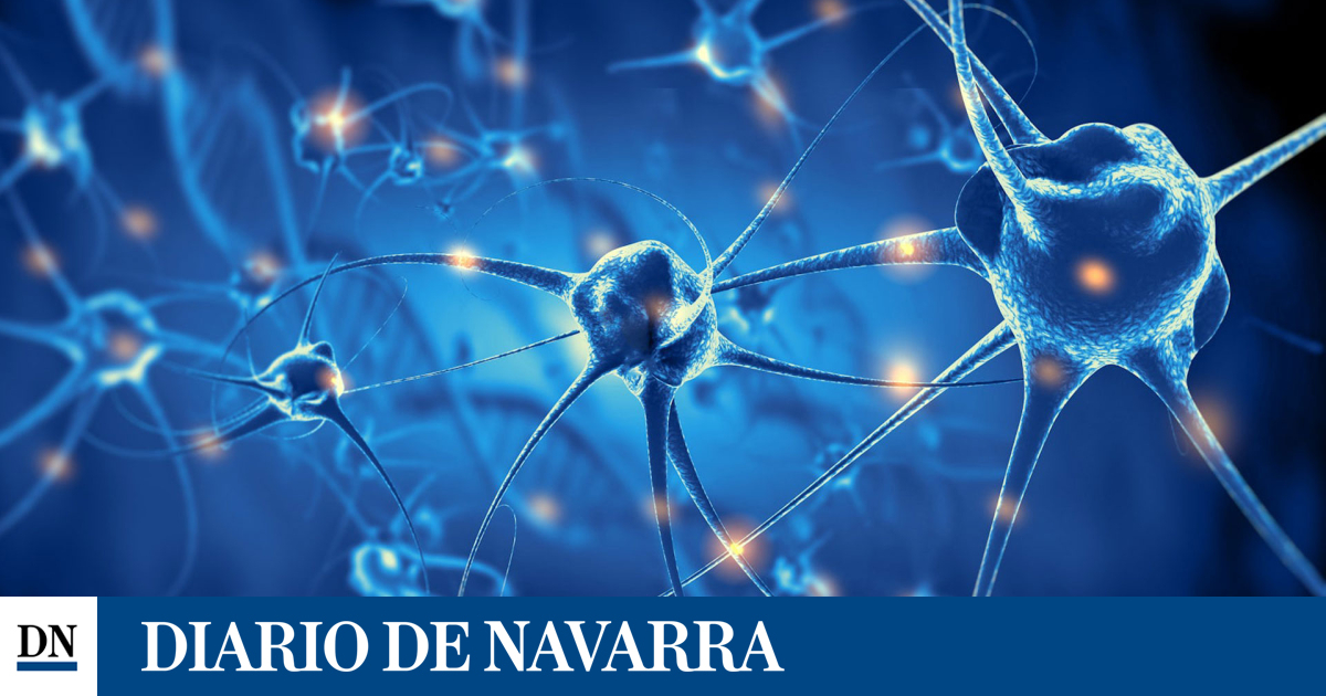 Meliterapia: engrasar el cerebro para curar enfermedades neurológicas complejas