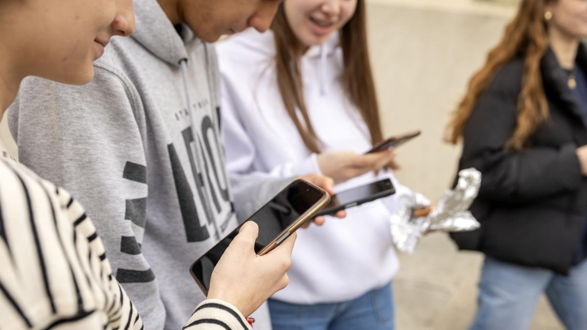 <![CDATA[El 'bullying' tiene su origen principal en la escuela y se prolonga en internet]]>