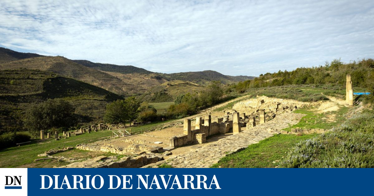 www.diariodenavarra.es