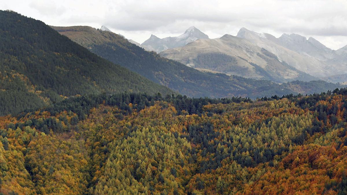 <![CDATA[Las 16 recomendaciones de expertos para prevenir las consecuencias del cambio climático en los Pirineos]]>