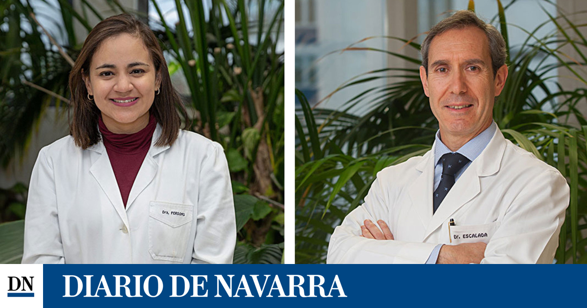 Endocrinologists at the University Hospital of Navarra are promoting screening for metabolic liver diseases using non-invasive methods.