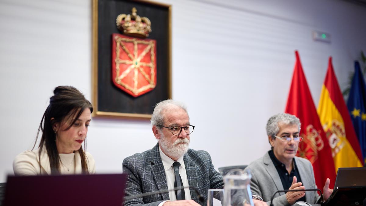 La Cámara de Comptos sugiere suprimir el Consejo de la Juventud de Navarra