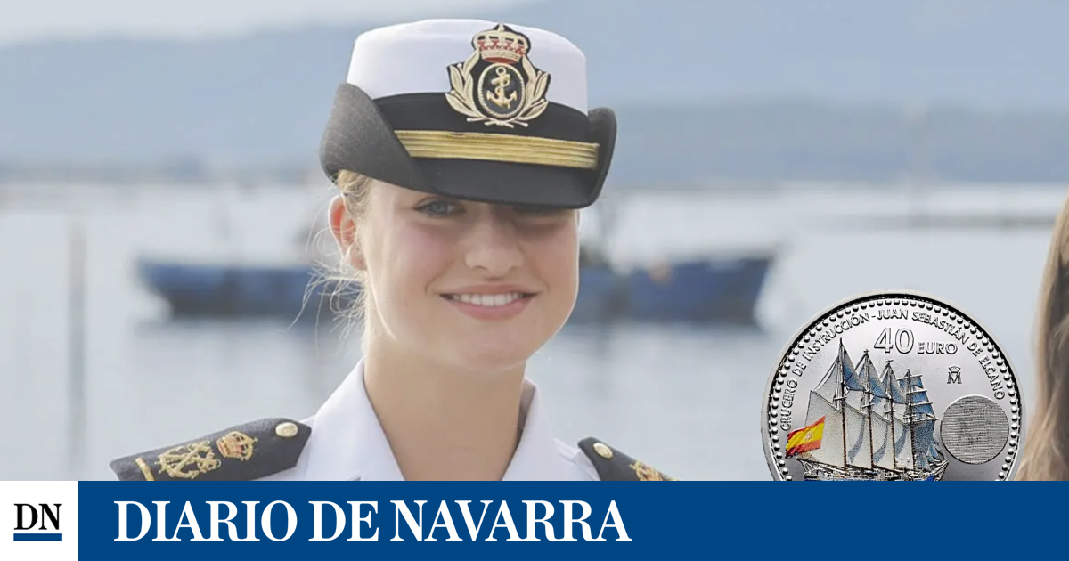 www.diariodenavarra.es