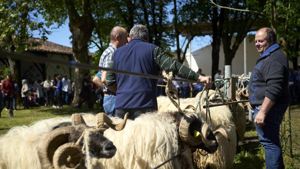 <![CDATA[Llega la Feria de Primavera a Elizondo]]>