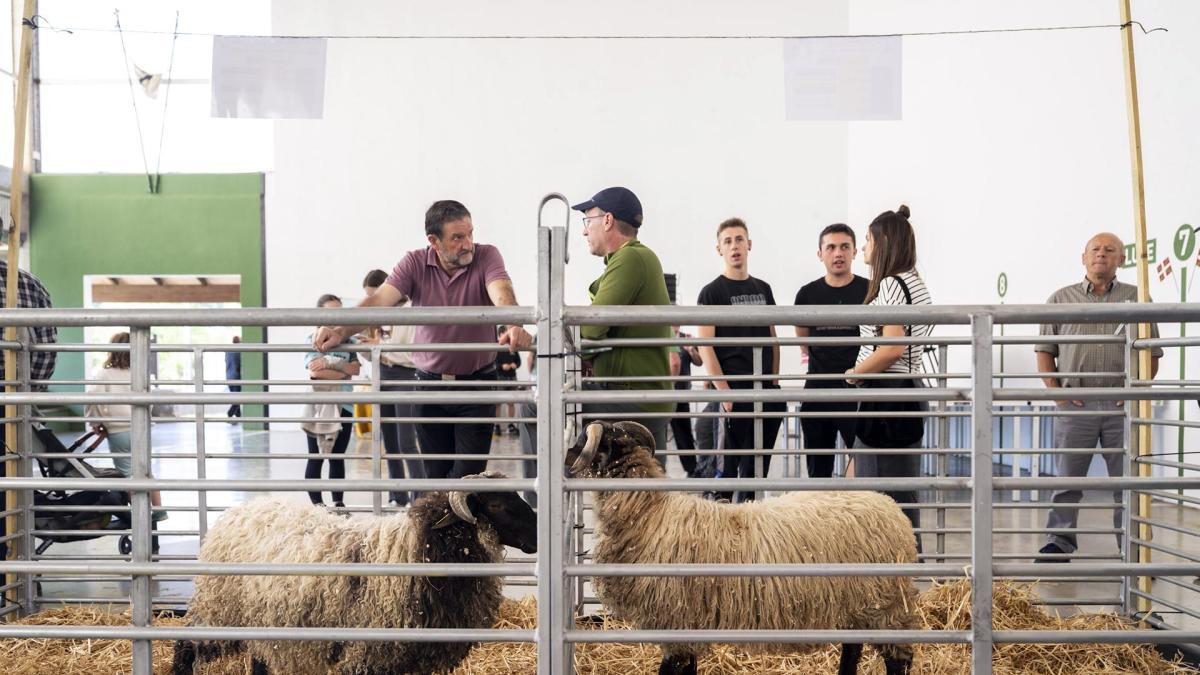 <![CDATA[Mendialdea programa un nuevo ciclo de mercados itinerantes]]>