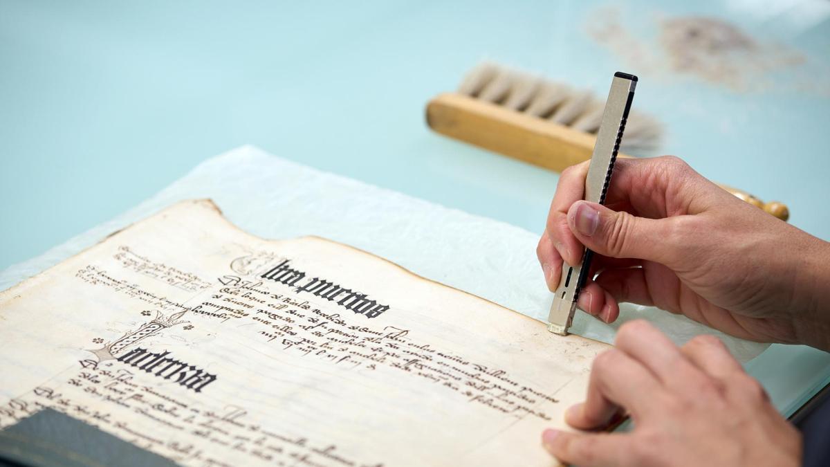 <![CDATA[Acacería, apeillido, carapito, coca, gailleta... palabras que encuentras en el Archivo de Navarra y no significan lo que parece]]>