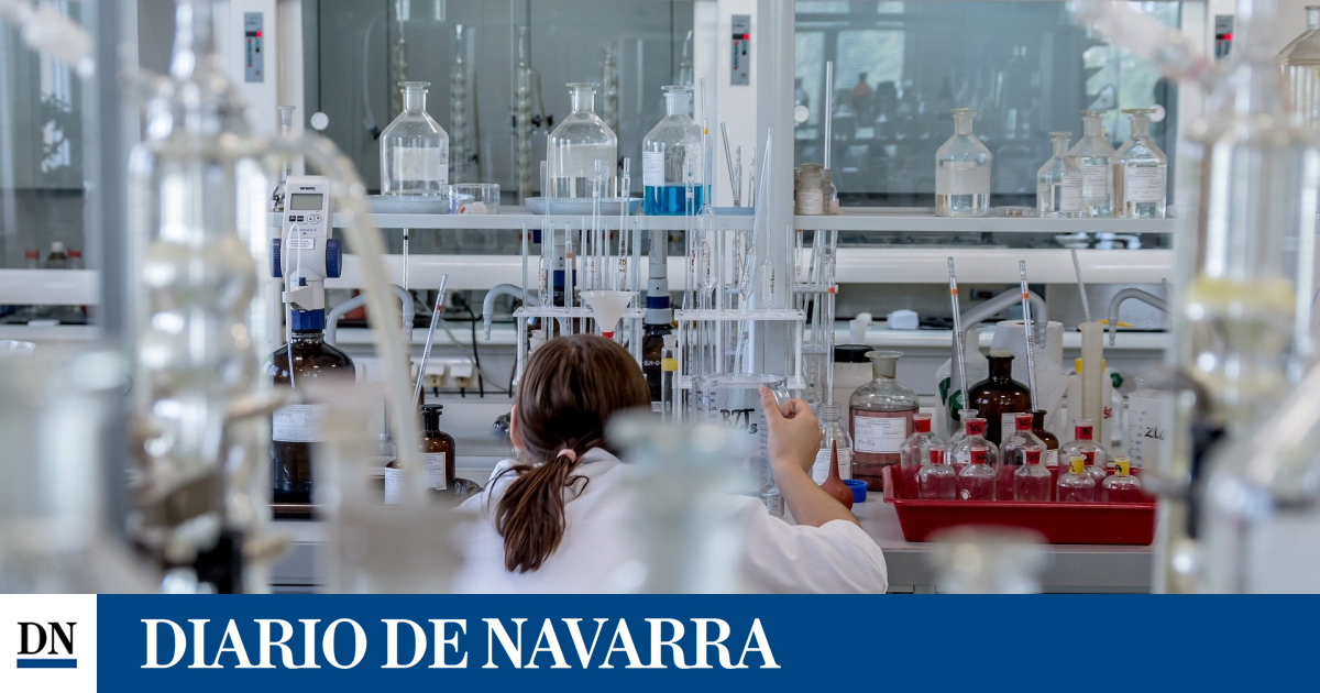¡1,2 Millones en Ayudas para Investigación en Ciencias de la Salud! Convocatoria Abierta para 2025-2027