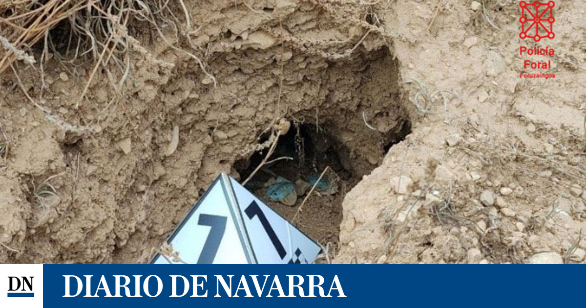Investigado en Tierra Estella por colocar raticida en varias madriguras