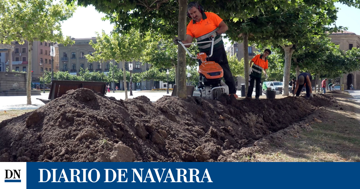 Y tras los Sanfermines... Pamplona recupera sus zonas verdes replantando césped y nuevos macizos de flores