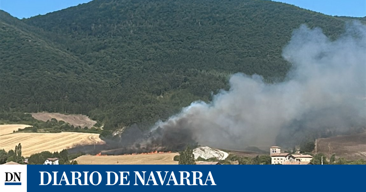 Declarado un incendio en un campo de cereal ubicado en Belzunce (Juslapeña)